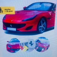 Test drive + musei Ferrari