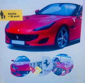 Test drive + musei Ferrari