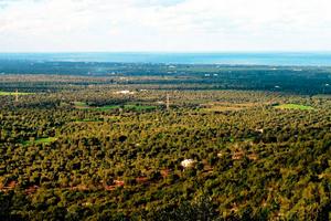 Terreno agricolo in agro di Ostuni 