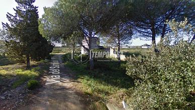 AMPIO TERRENO AGRICOLO ED EDIFICABILE