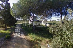 AMPIO TERRENO AGRICOLO ED EDIFICABILE