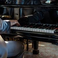 Organista e pianista