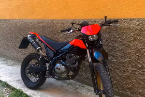 Beta Alp 200