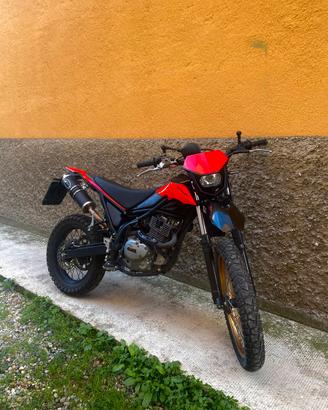Beta Alp 200