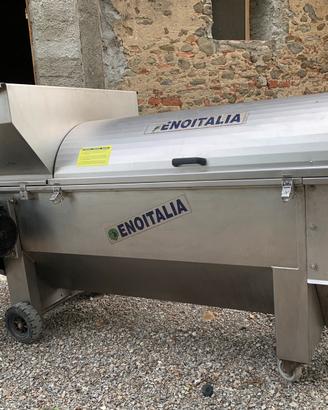 Diraspatrice Enoitalia