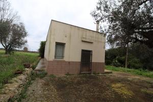 Terreno con fabbricato c.da Fallacchia V.Castelli