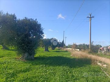 TER. AGRICOLO A MOLA DI BARI