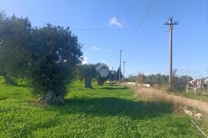 TER. AGRICOLO A MOLA DI BARI