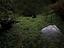 Immagine 11