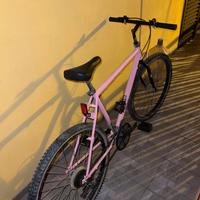 Bmx rosa