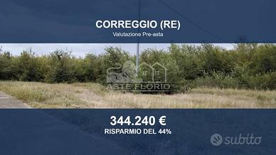 Immobile in asta di 15071 m² a Correggio