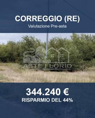 Immobile in asta di 15071 m² a Correggio