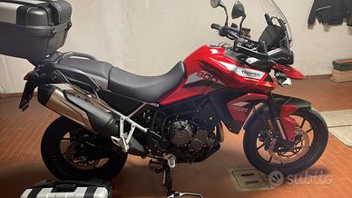 Triumph Tiger 900 GT Pro
