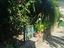 Immagine 15