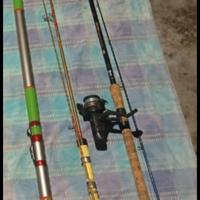 Divertimento Pesca Economica