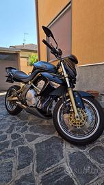 Kawasaki ER6N anno 2006