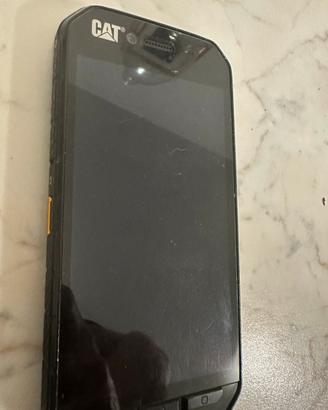 Cat s41