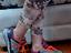 Immagine 1