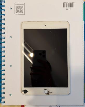 Ipad mini 4