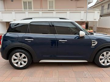 Mini Countryman D