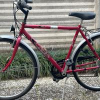 Bici uomo ruote da 28