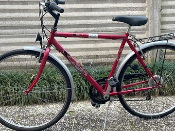 Bici uomo ruote da 28