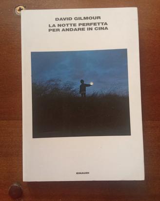 La notte perfetta per andare in Cina - D. Gilmour