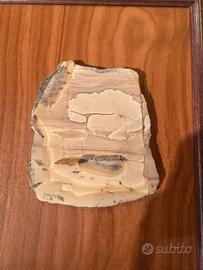 Quadro con pietra fossile