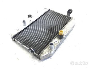 SUZUKI BURGMAN AN 400 RADIATORE LIQUIDO ACQUA RAFF