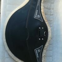 sottopancia Acavallo 