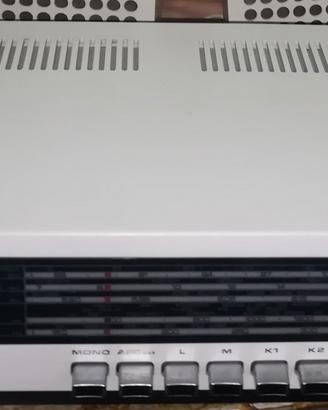 due pezzi vintage blaupunkt 