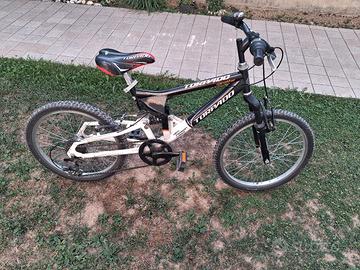 bicicletta