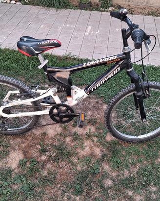 bicicletta