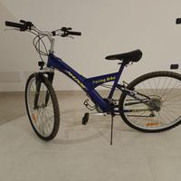 Bici mountain bike