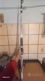 Canna da pesca per carpe, storioncini e marr