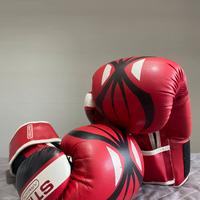 guantoni da boxe/kick boxe STING