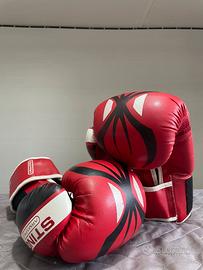 guantoni da boxe/kick boxe STING