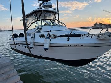 Barca proline 251