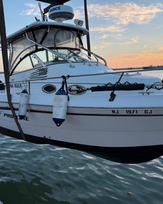 Barca proline 251