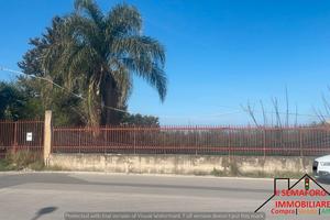 Terreno a Partinico (Rif.1708)