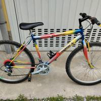 Mountain bike uomo