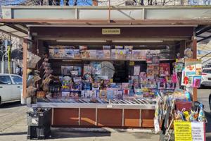 ATTIVITÀ A PIANEZZA