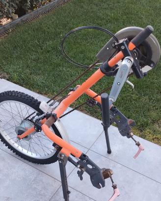 Handbike disabili 