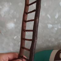 Scaletta per volatili