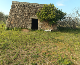 Vedita casa più terreno