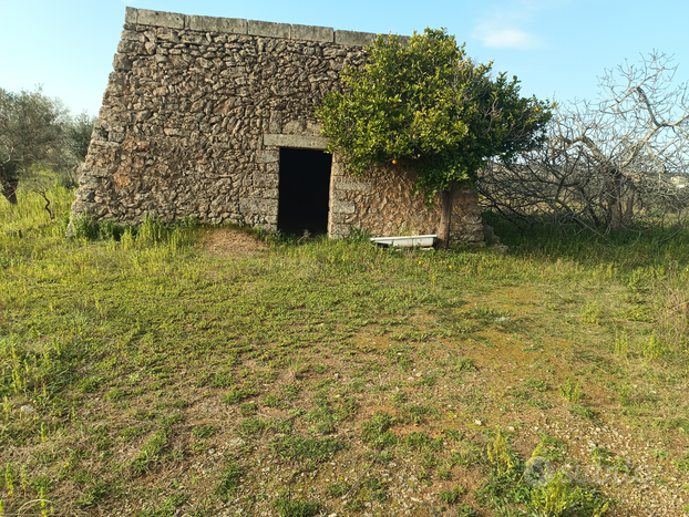 Vedita casa più terreno