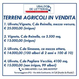 Terreni agricoli Torremaggiore