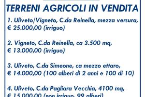 Terreni agricoli Torremaggiore
