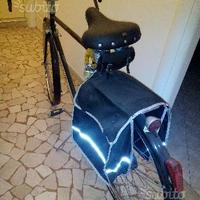 Bicicletta olmo