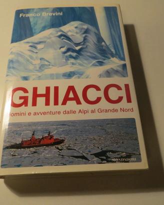 libri vintage e più recenti sulla montagna